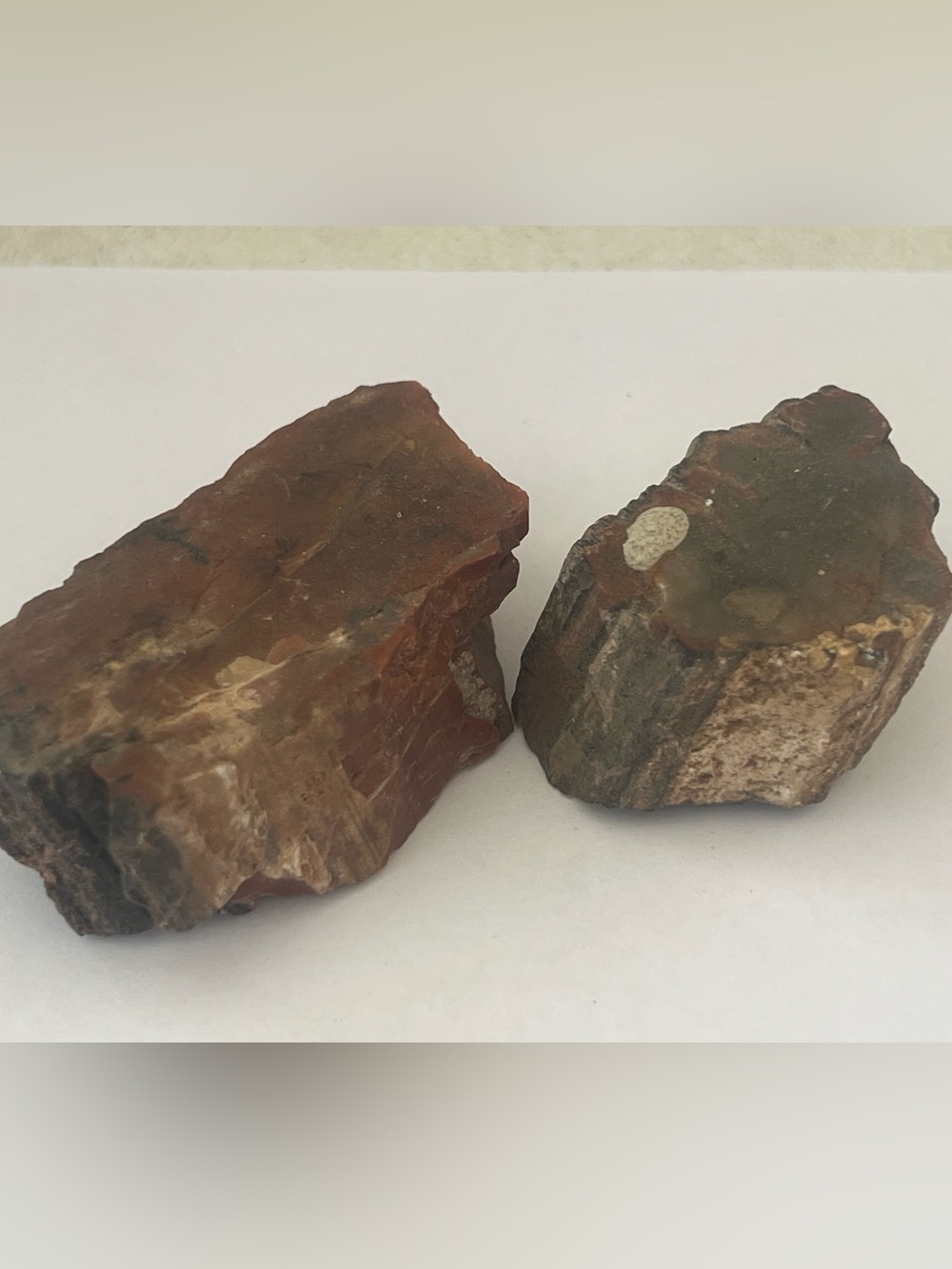 Lot of 2 small pieces of Petrified Wood
2” & 1-1/4”